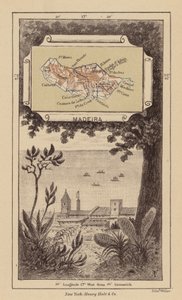 Træ (gravering)