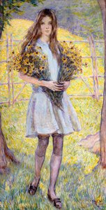 Black-eyed Susans