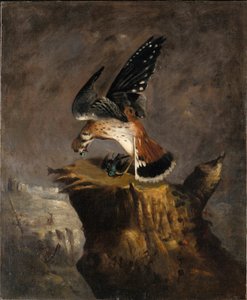 Gribben og dens bytte