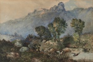 Landskab med gråænder af Robert Scott Temple