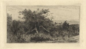 knudret træ