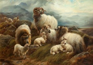 Får i et landskab, 1894