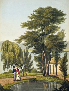 Clifton, fra 