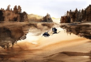 Fuglenes flyvning over Golden Lake af RodMacIver