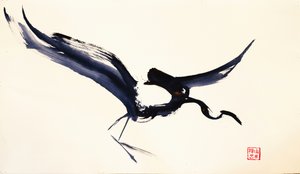  af RodMacIver