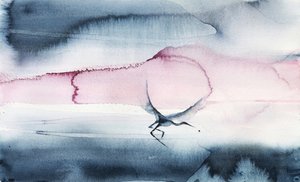 Pink Sky Bird-flyvning af RodMacIver