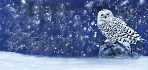 Snefyldt aften 60 x 28 af RodMacIver