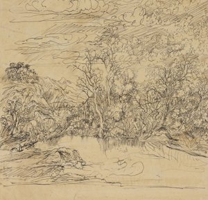 Bank of a Pond af Rodolphe Bresdin