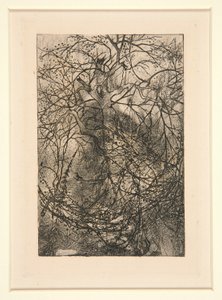 Grene af Rodolphe Bresdin