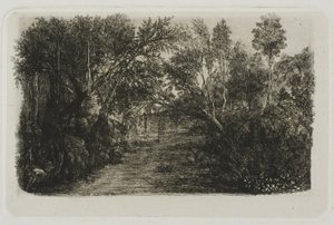 Åen af Rodolphe Bresdin