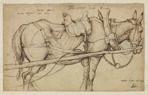 Mule in harnessdani af Roelandt Jacobsz. Savery