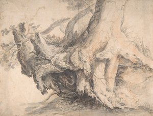 Studie af et træ, ca. 1606-7.