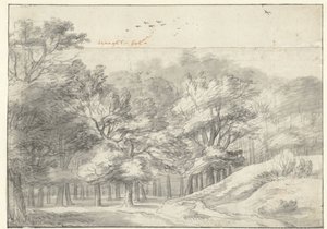 Udsigt i Haagse Bos af Roelant Roghman
