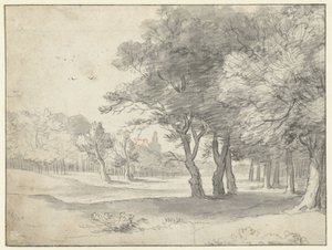 Udsigt i Haagse Bos, med Grote Kerk, Haag, i det fjerne af Roelant Roghman