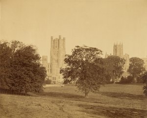 Ely-katedralen set fra parken af Roger Fenton
