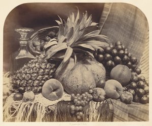  af Roger Fenton