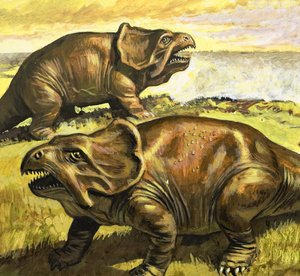 Protoceratops, illustration fra 