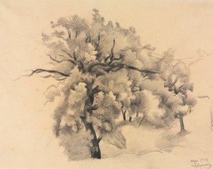 Studie af træer af Roger de La Fresnaye