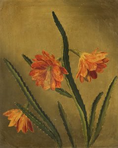 Studie af blomster (olie på lærred)