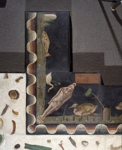 "Asarotos" (gulv ufejet) Fragmenter af mosaik signeret af Harakliton fra Rom, 2. århundrede e.Kr., Rom af Roman