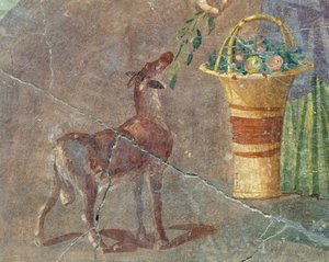 Ged og kurv med frugt, fresko fra Pompeji, Campania, Italien, romersk civilisation af Roman