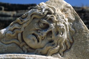 Leder af Medusa af Roman