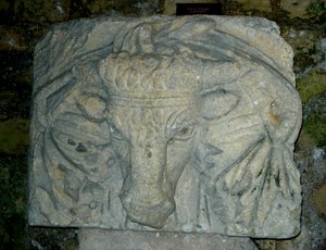 Hovedet af en tyr af Roman