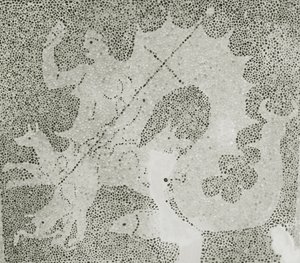 Hellenistisk stenmosaik af Scylla og Charybdis, der bevogter sundet, detalje af Scylla. House of Dionysos, Paphos, Cypern mosaik af Roman