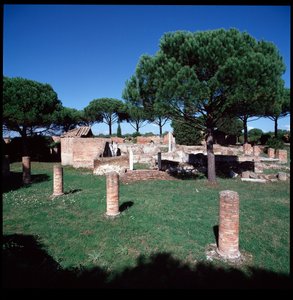 Romersk kunst: udsigt over ruinerne af Campo della Magna Mater, region IV af Roman