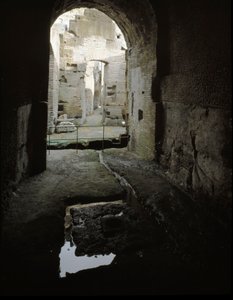Romersk kunst: udsigt over de underjordiske passager i Colisee (Colosseo) i Rom, Italien af Roman