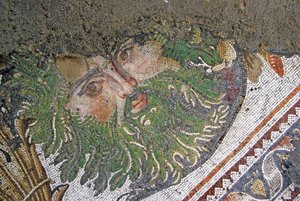 Ukendt billede af Roman