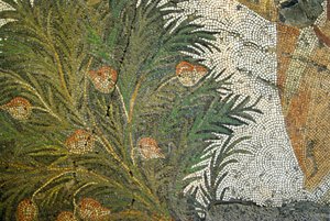 Ukendt billede af Roman