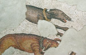 Ukendt billede af Roman