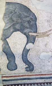 Ukendt billede af Roman