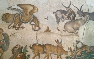 Ukendt billede af Roman