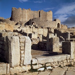 Udsigt over de liciniske bade af Roman