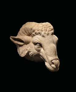Hoved af en vædder, ca. 1. århundrede f.Kr. - 1. århundrede e.Kr. (marmor) af Roman Roman