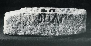 Indskrevet århundredesten (sten) af Roman Roman