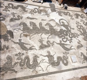 Ostia (Ostia) Gammel: mosaik af Neptuns bade. af Roman Roman