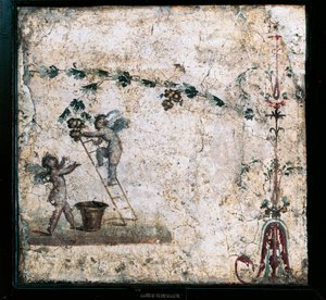 Tredje stil freskomaleri, der skildrer Amor-høst, fra Huset til Marcus Lucretius i Pompeji af Roman Roman