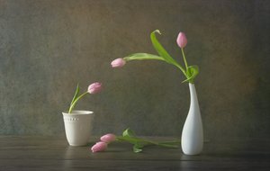 Stilleben med elegante lyserøde tulipaner