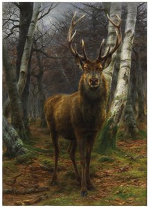 Kongen af skoven, 1878