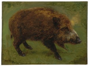 Vildsvin (olie på lærred) af Rosa Bonheur