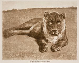  af Rosa Bonheur