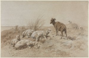 Får af Rosa Bonheur