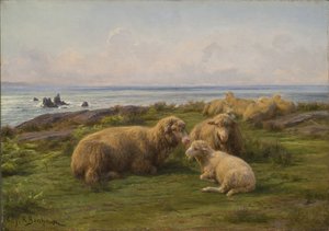 Får ved havet af Rosa Bonheur