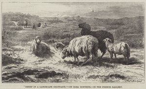 Får i et landskab, Bretagne