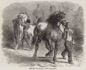 Skitse fra Hestemessen af Rosa Bonheur