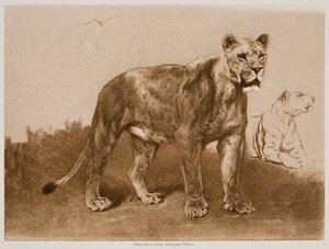  af Rosa Bonheur