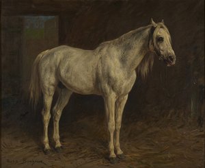Hvid hest af Rosa Bonheur